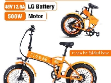 Vélo électrique VTT Pliant Fat bike 20 Pouces  Autonomie 60KM Unisex