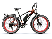 Vélo électrique de montagne 48V 16AH 250W Gros Pneu Fat E-bike 7 Vitesses XF650